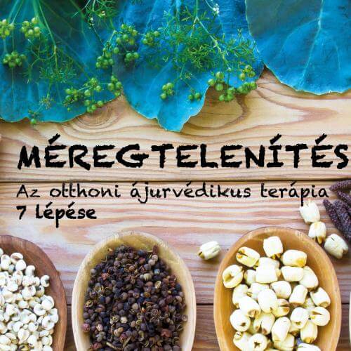 méregtelenítés - ájurvédikus terápia